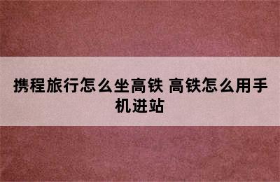 携程旅行怎么坐高铁 高铁怎么用手机进站